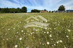 Zemljiste, Barban, prodaja, 52000 €, 680 m2