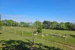 Zemljiste, Marčana, Peruški, prodaja, 26800 €, 1000 m2