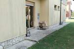 Kuca, Labin, prodaja, 900000 €, 360 m2
