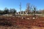 Kuca, Svetvinčenat, prodaja, 550000 €, 189 m2