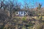 Zemljiste, Buzet, Sveti Donat, prodaja, 115000 €, 5189 m2