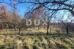 Zemljiste, Buzet, Sveti Donat, prodaja, 115000 €, 5189 m2