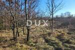 Zemljiste, Buzet, Sveti Donat, prodaja, 115000 €, 5189 m2