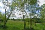 Zemljiste, Žminj, prodaja, 69000 €, 1900 m2
