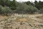 Zemljiste, Krk, prodaja, 585000 €, 2334 m2