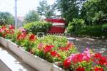 Kuca, Lovran, prodaja, 990000 €, 380 m2