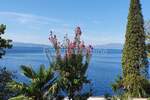 Dvosoban stan, Rijeka, Istok, prodaja, 290000 €, 40 m2