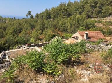 Zemljiste, Korčula, Čara, prodaja, 1040000 €, 104000 m2