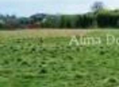 Zemljiste, Umag, prodaja, 257500 €, 0 m2