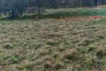 Zemljiste, Umag, prodaja, 257500 €, 0 m2