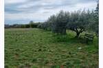 Zemljiste, Umag, prodaja, 257500 €, 0 m2
