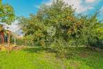 Poslovni prostor, Brtonigla, prodaja, 650000 €, 350 m2