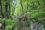 Zemljiste, Matulji, prodaja, 630000 €, 10471 m2
