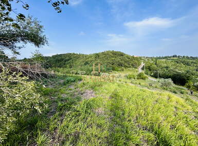 Zemljiste, Buje, prodaja, 1 €, 2250 m2