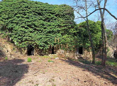 Kuca, Buje, prodaja, 105000 €, 200 m2