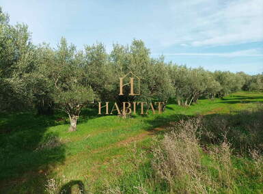 Zemljiste, Umag, prodaja, 37500 €, 834 m2