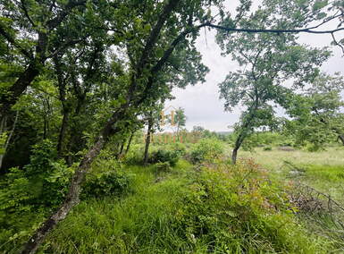 Zemljiste, Umag, prodaja, 17560 €, 439 m2