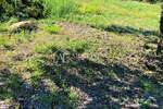 Zemljiste, Umag, prodaja, 210000 €, 550 m2