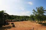 Zemljiste, Brtonigla, prodaja, 1500000 €, 32628 m2