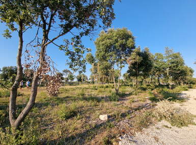 Zemljiste, Pula, prodaja, 21000 €, 489 m2