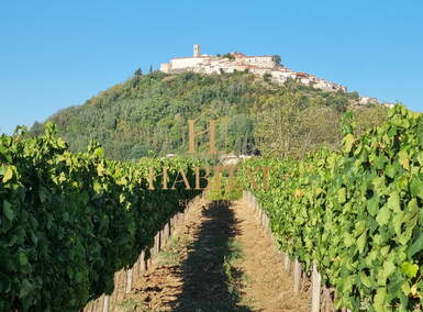Zemljiste, Motovun, prodaja, 100000 €, 3213 m2