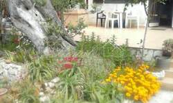 Zemljiste, Zadar, Premuda, prodaja, 300000 €, 1136 m2