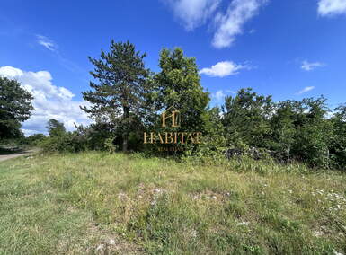 Zemljiste, Grožnjan, prodaja, 100000 €, 1000 m2