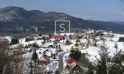 Zemljiste, Delnice, Crni Lug, prodaja, 75000 €, 2423 m2