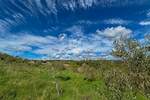 Zemljiste, Buje, prodaja, 1125400 €, 5627 m2