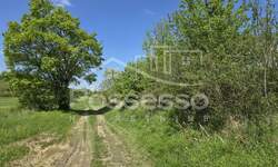 Zemljiste, Buzet, Hum, prodaja, 2120 €, 424 m2