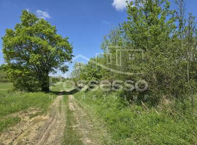 Zemljiste, Buzet, Hum, prodaja, 2120 €, 424 m2