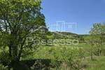 Zemljiste, Buzet, Hum, prodaja, 2120 €, 424 m2
