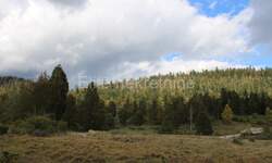 Zemljiste, Fužine, prodaja, 79000 €, 1007 m2