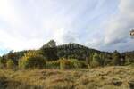 Zemljiste, Fužine, prodaja, 79000 €, 1007 m2
