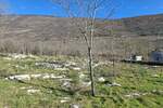 Zemljiste, Kršan, prodaja, 69500 €, 0 m2