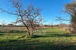 Zemljiste, Vodnjan, prodaja, 115000 €, 501 m2