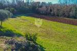 Zemljiste, Umag, prodaja, 85000 €, 773 m2