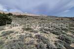 Zemljiste, Pag, prodaja, 1700000 €, 5750 m2