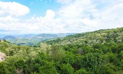 Zemljiste, Poreč, prodaja, 140000 €, 612 m2