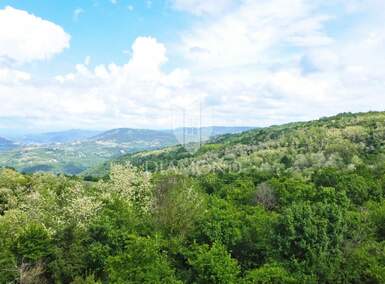 Zemljiste, Poreč, prodaja, 135000 €, 612 m2
