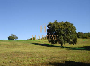 Zemljiste, Motovun, prodaja, 350000 €, 16637 m2