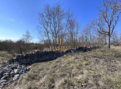 Zemljiste, Tinjan, prodaja, 125016 €, 31254 m2