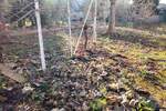 Zemljiste, Pula, prodaja, 150000 €, 0 m2
