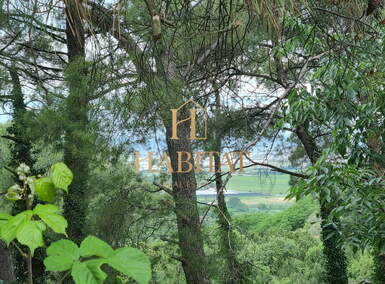 Zemljiste, Buje, prodaja, 150000 €, 872 m2