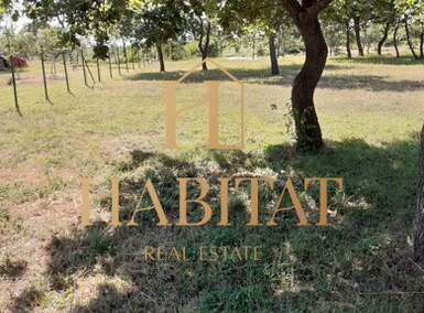 Zemljiste, Vodnjan, prodaja, 35000 €, 504 m2