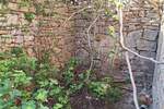 Kuca, Vodnjan, prodaja, 63000 €, 50 m2
