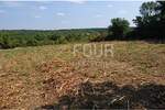 Zemljiste, Kanfanar, prodaja, 620000 €, 8599 m2