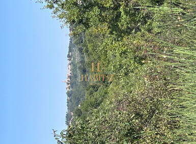 Zemljiste, Buje, prodaja, 99000 €, 17640 m2