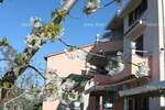Kuca, Fažana, prodaja, 1 €, 320 m2