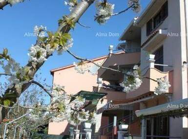 Kuca, Fažana, prodaja, 1 €, 320 m2